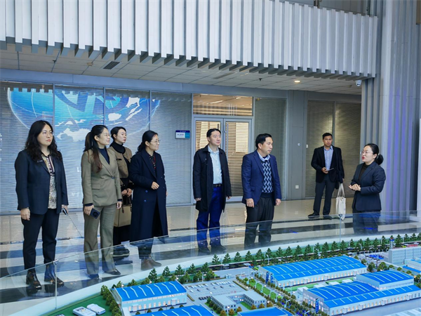 首页- 尊龙集团中国官网入口