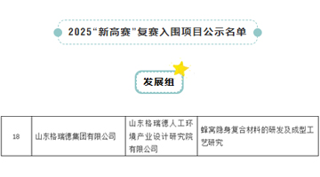 尊龙集团官网集团成功晋级2025中国·山东新高赛复赛