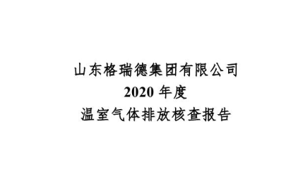 尊龙集团官网-核查汇报-2020年度
